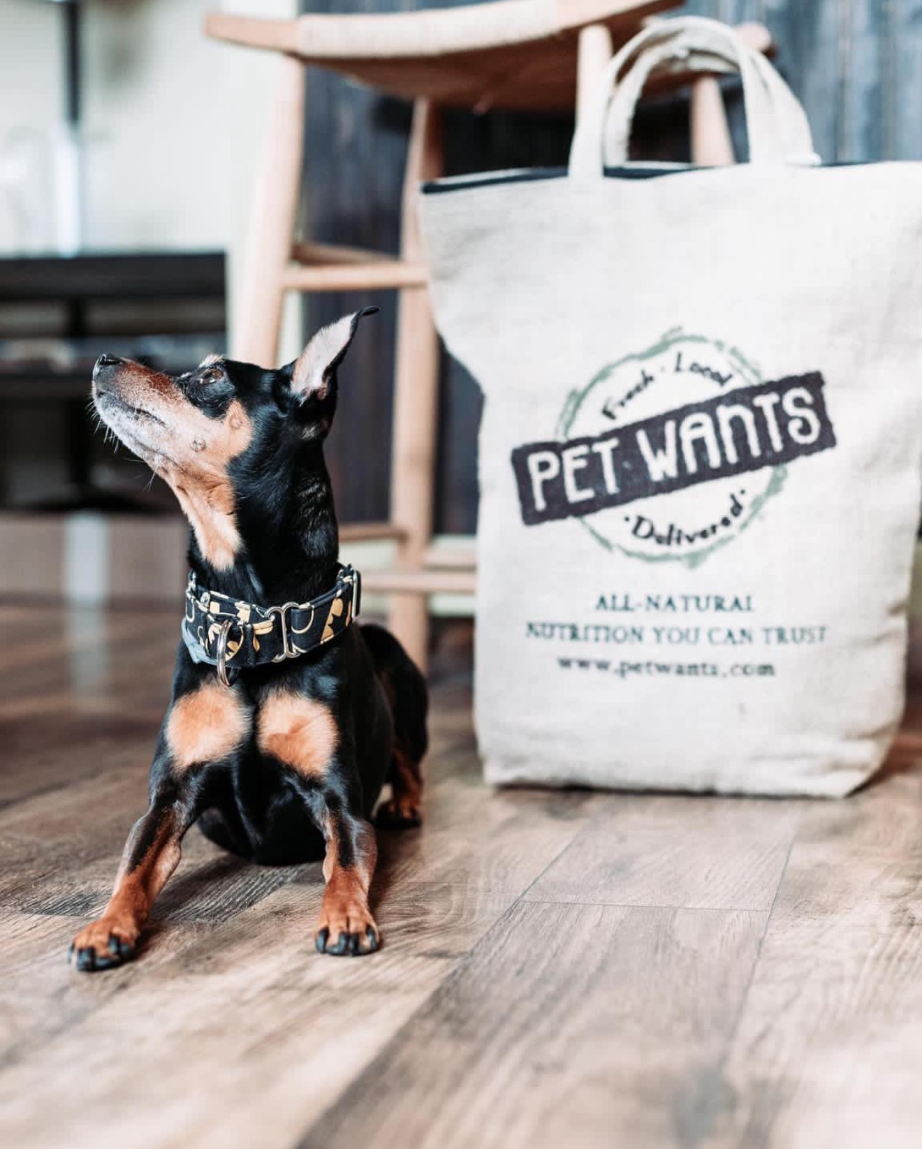 Cozy, pet-friendly home with a safe deck for your furry friends, offering a comfortable stay with spacious interiors in a peaceful neighborhood.