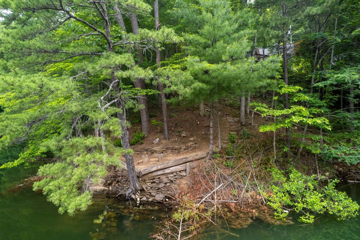 Nature Escape: Serene riverfront living surrounded by lush trees and stunning mountain views!

