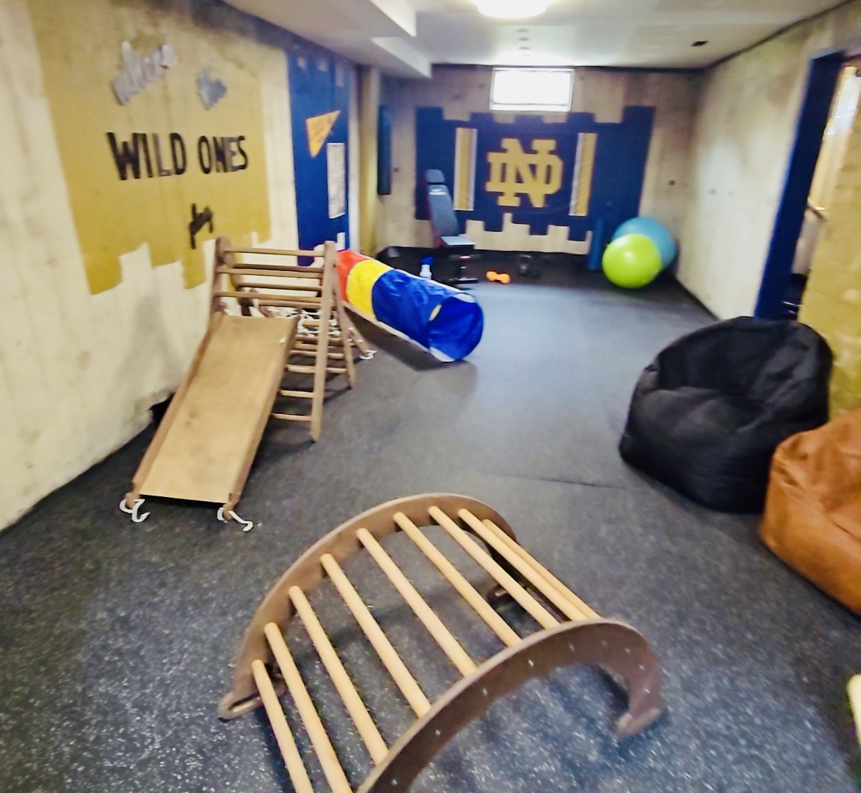 Pride of the Irish, Power of Play Bold ND colors, cozy textures, and creative zones make the Energy Hub a tribute to Irish pride—where grit meets imagination in a space built for movement and joy.