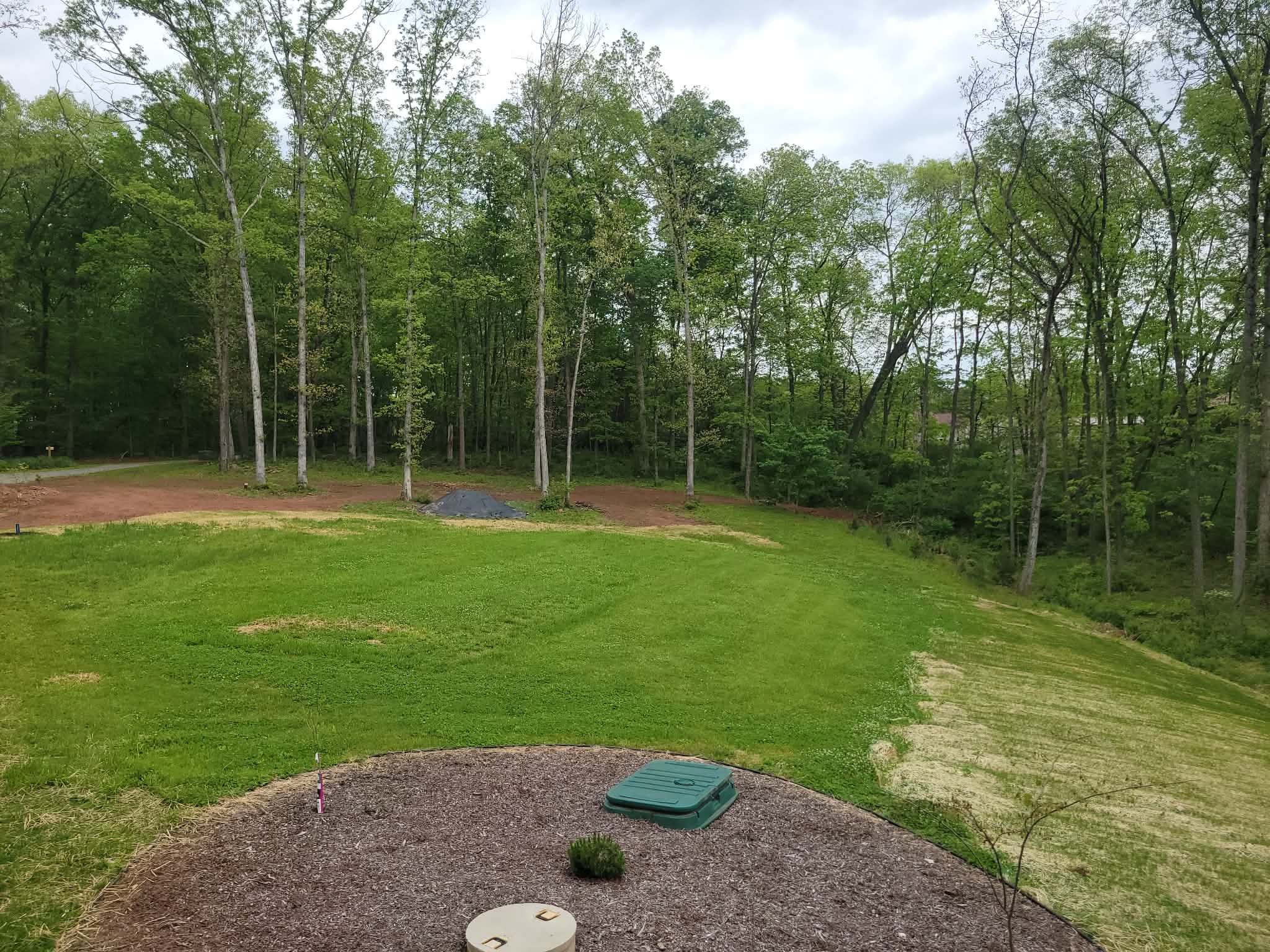 Front yard area -fresh grass planted