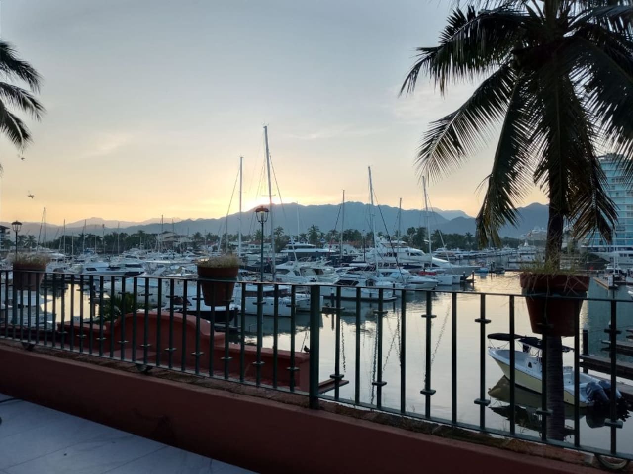 Morning view from the terrace