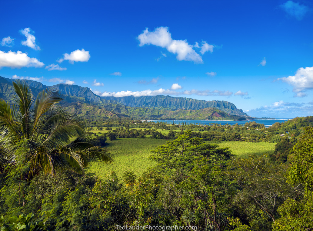 Looking toward Hanalei Bay