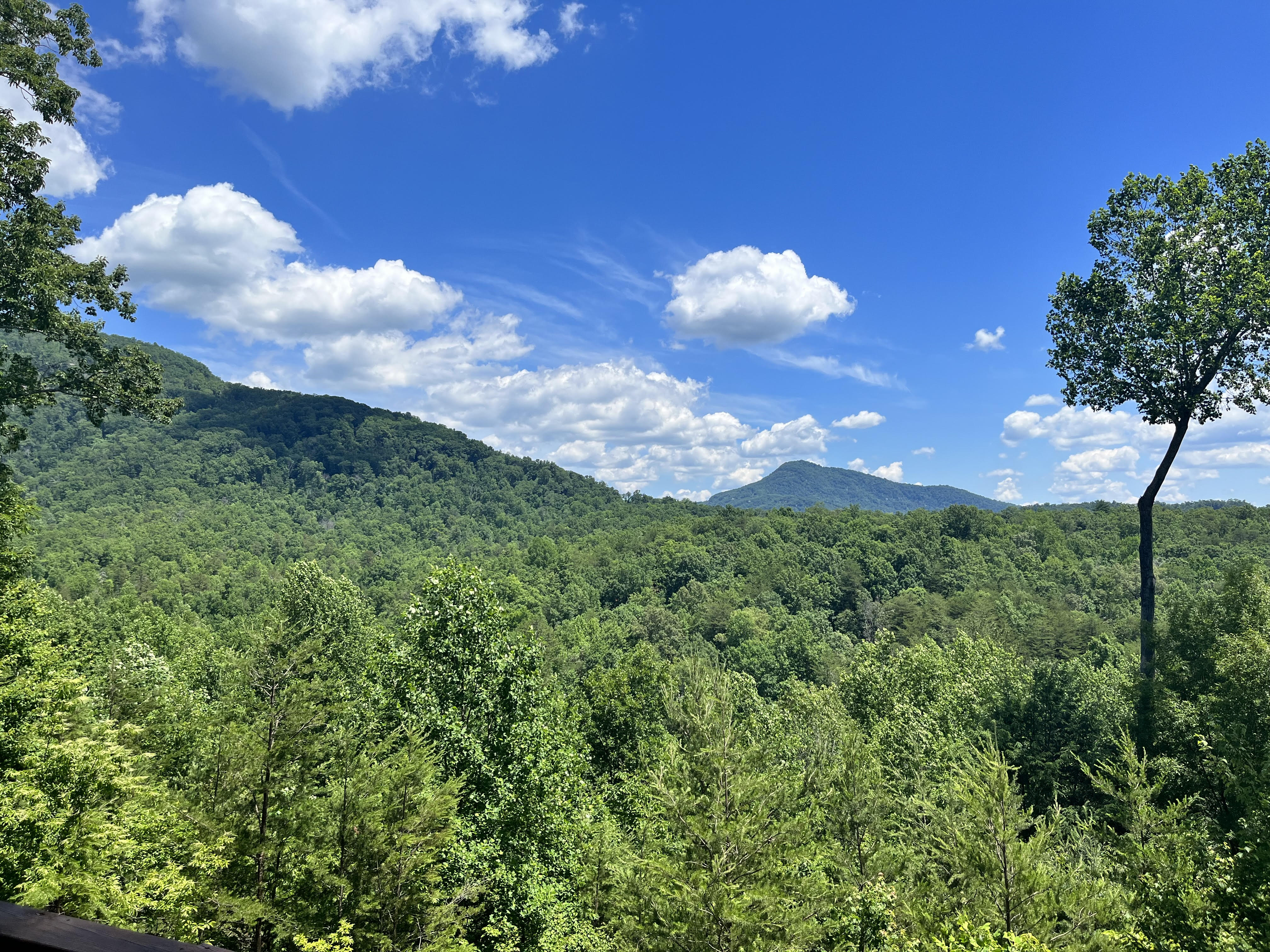 View 2