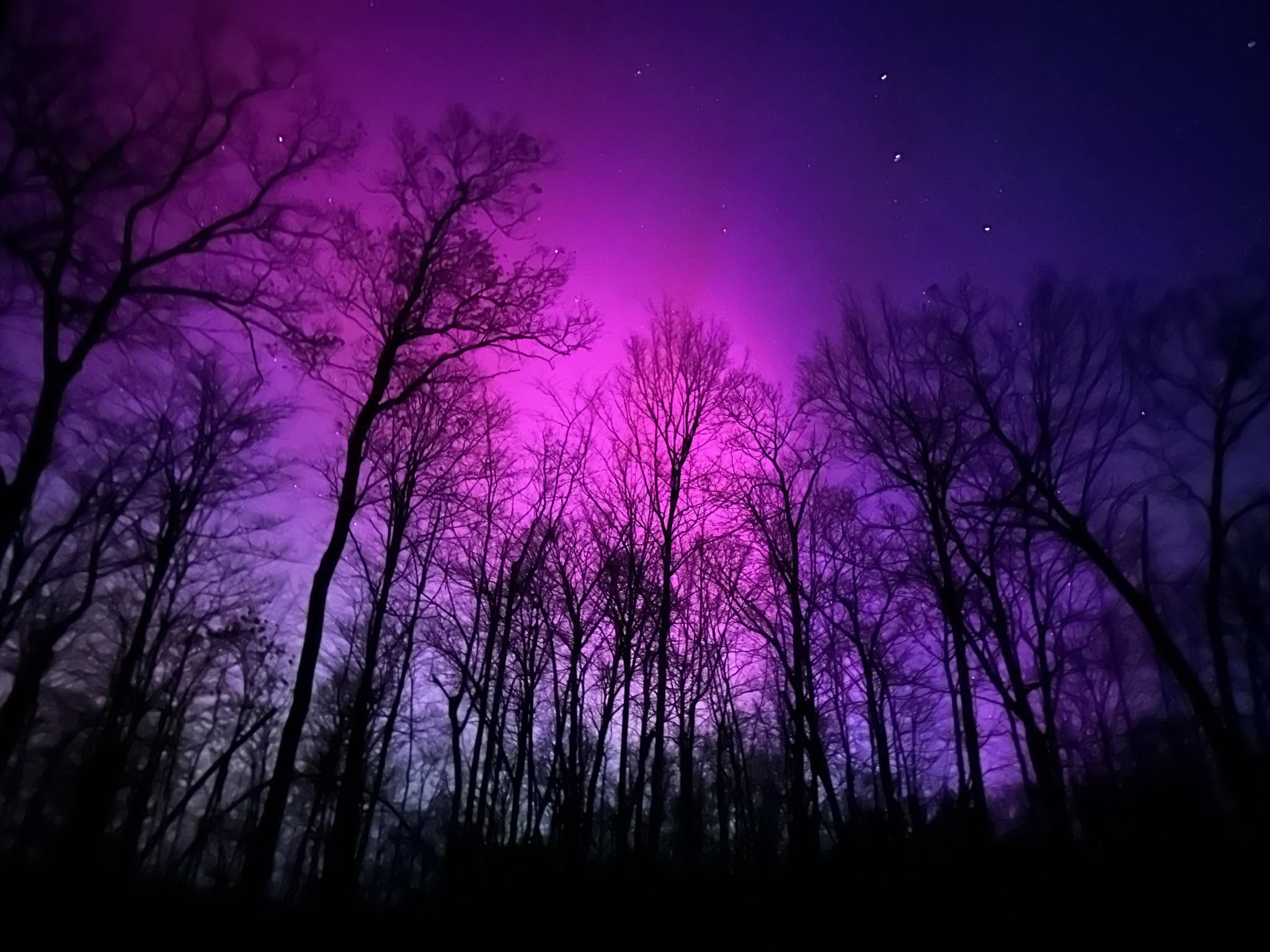 Northern Lights from House