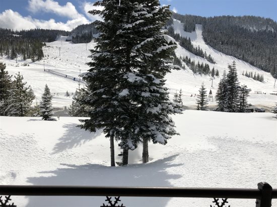View from outside balcony.
