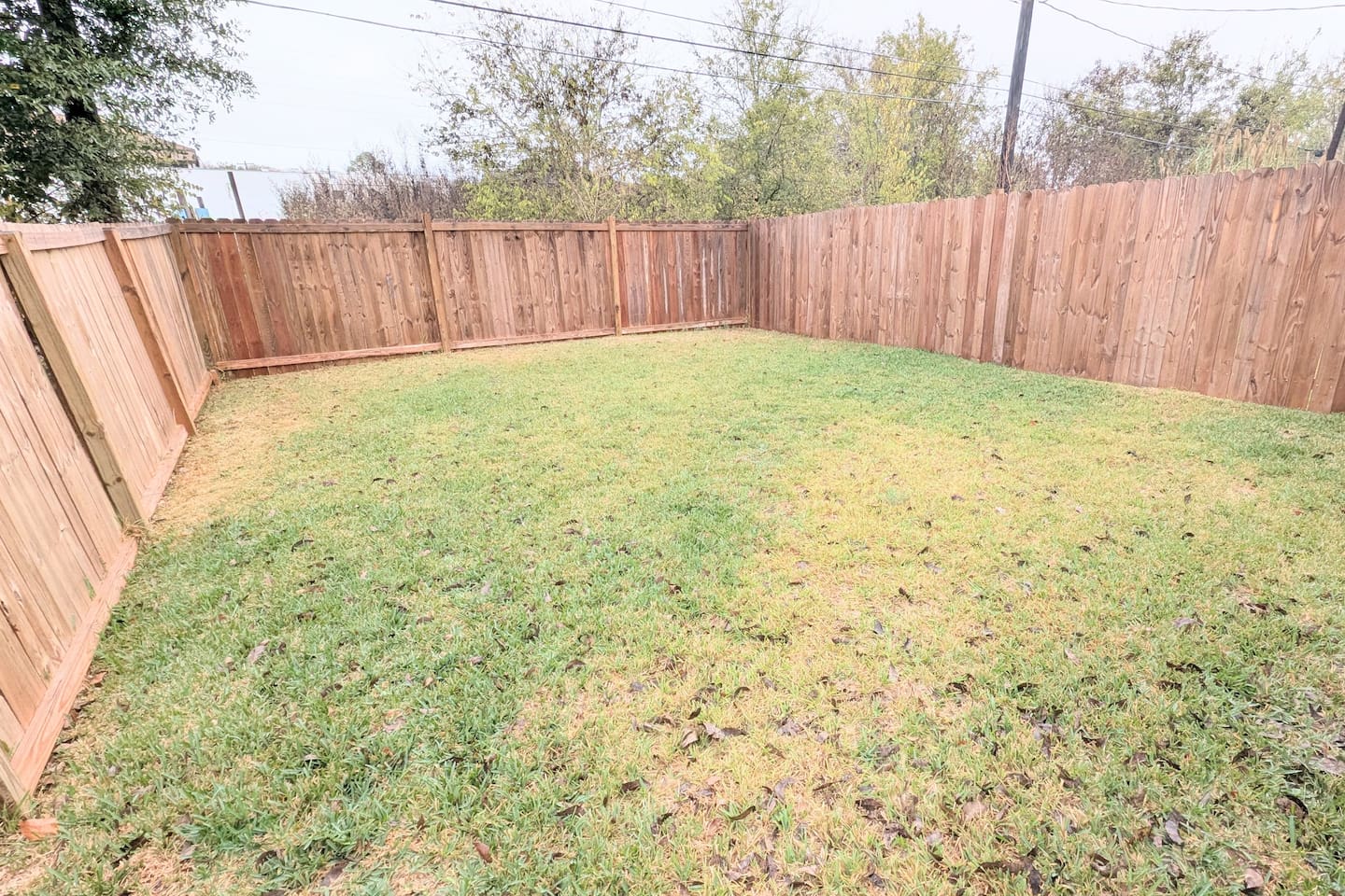 Fully fenced, private backyard is available for guests. 