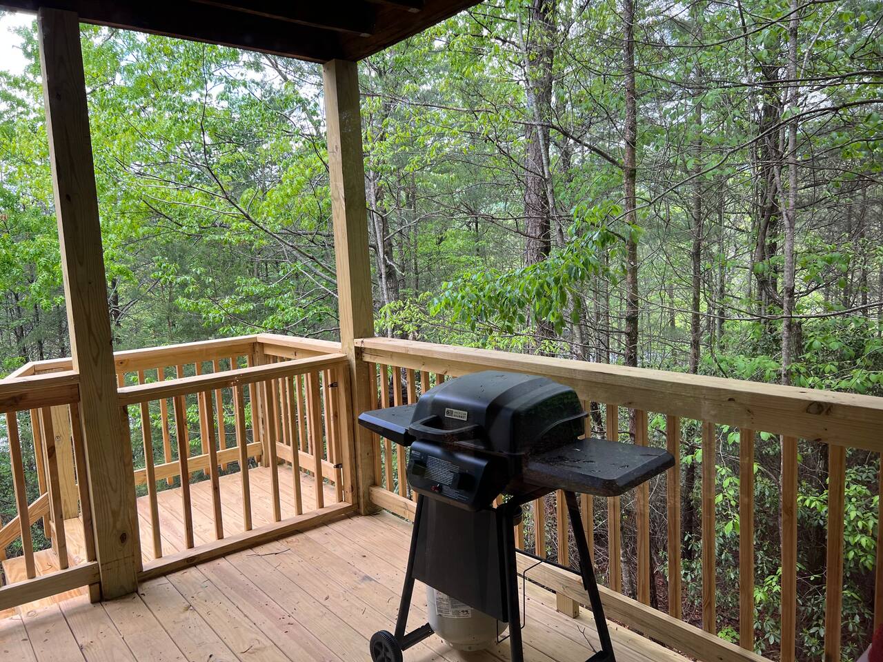 Fire up the Grill-BBQ & Enjoy Outdoor Cooking!