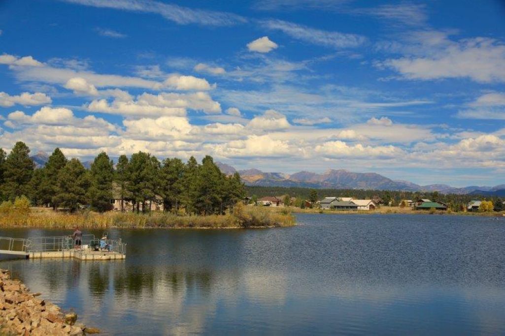 Local lake in the fall