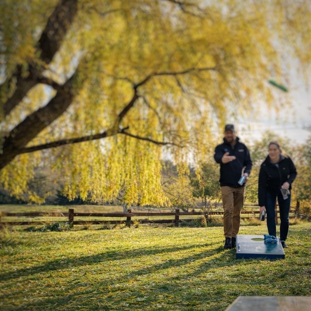 May the best toss win!