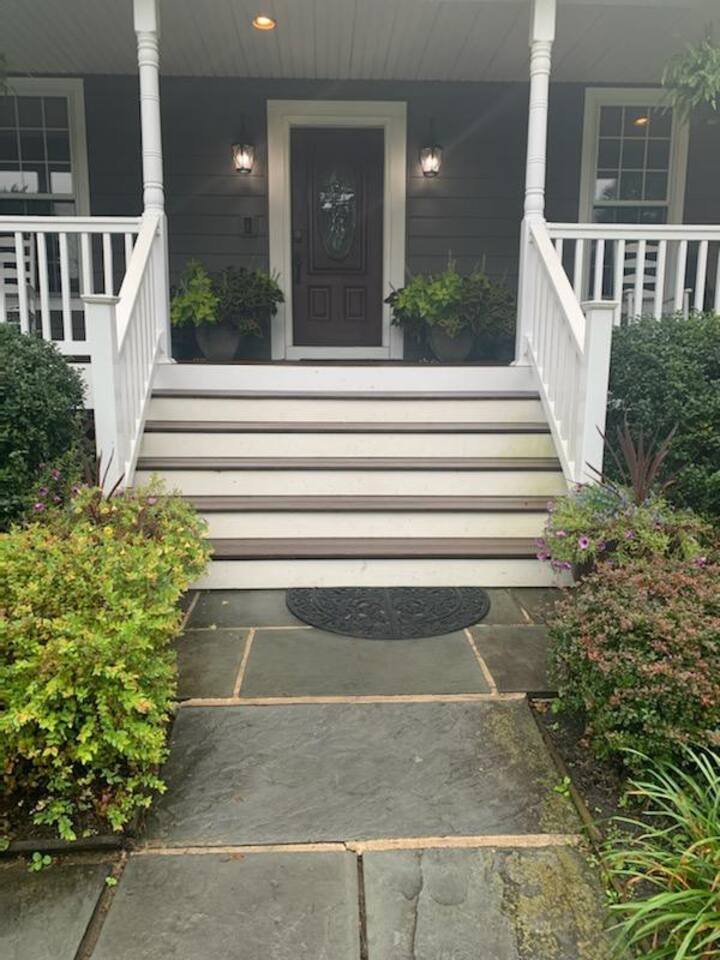 Front Steps(back yard has far fewer steps for those  using wheelchairs)