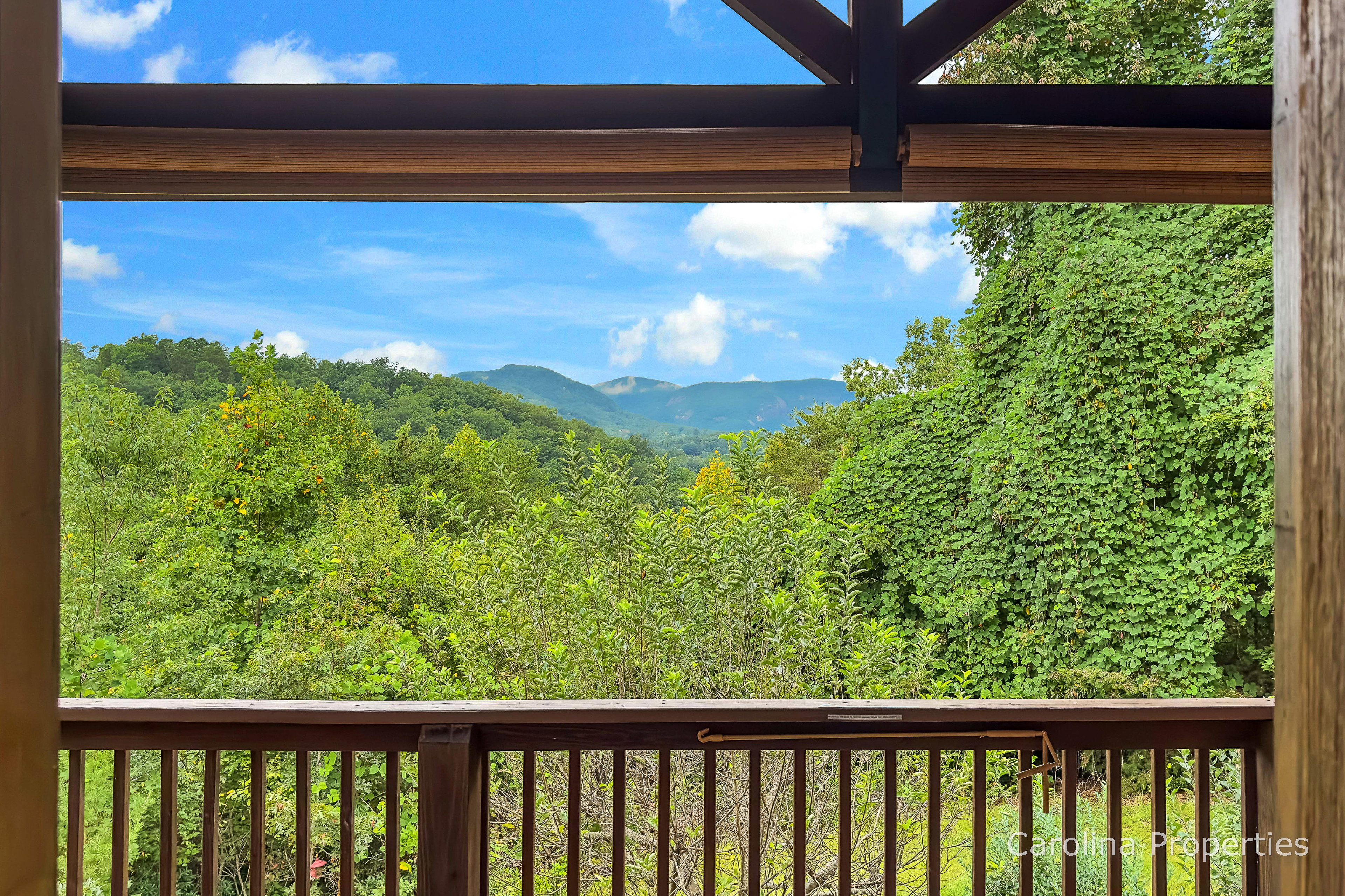 View 3