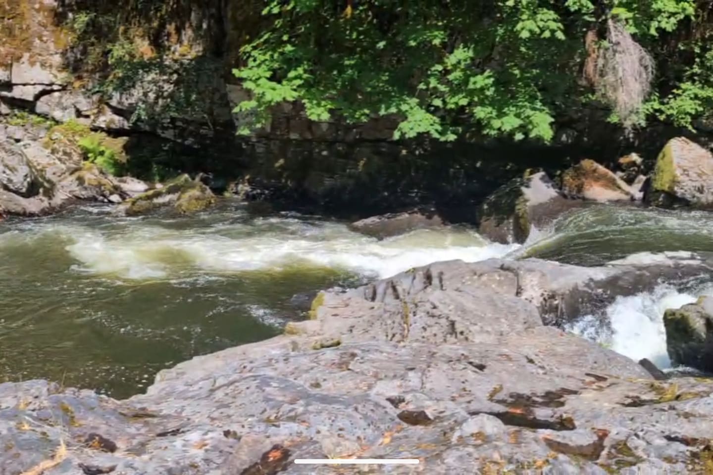 The "Fish Drop" - This gorgeous spot on the river is a 5 minute walk up the road from the Airbnb. Great swimming holes, a sandy beach and places to jump. Great fishing!!