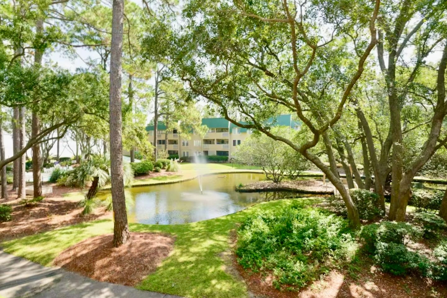 Pond on the grounds