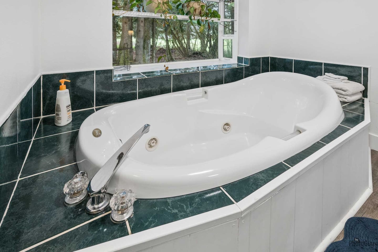 Master bathroom jetted tub