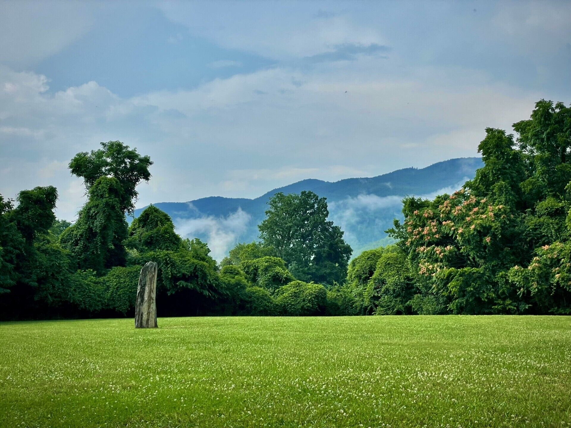 Front yard with mountain views early summer