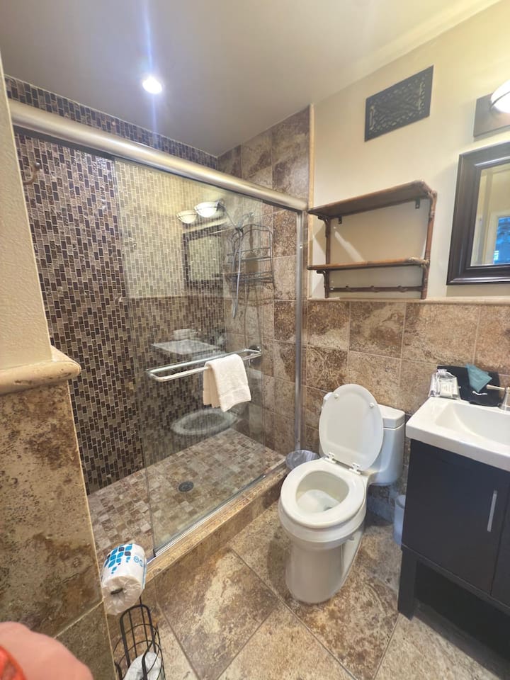 Glass walk-in shower