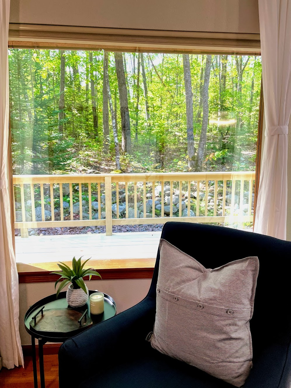 View from the living room of the woods