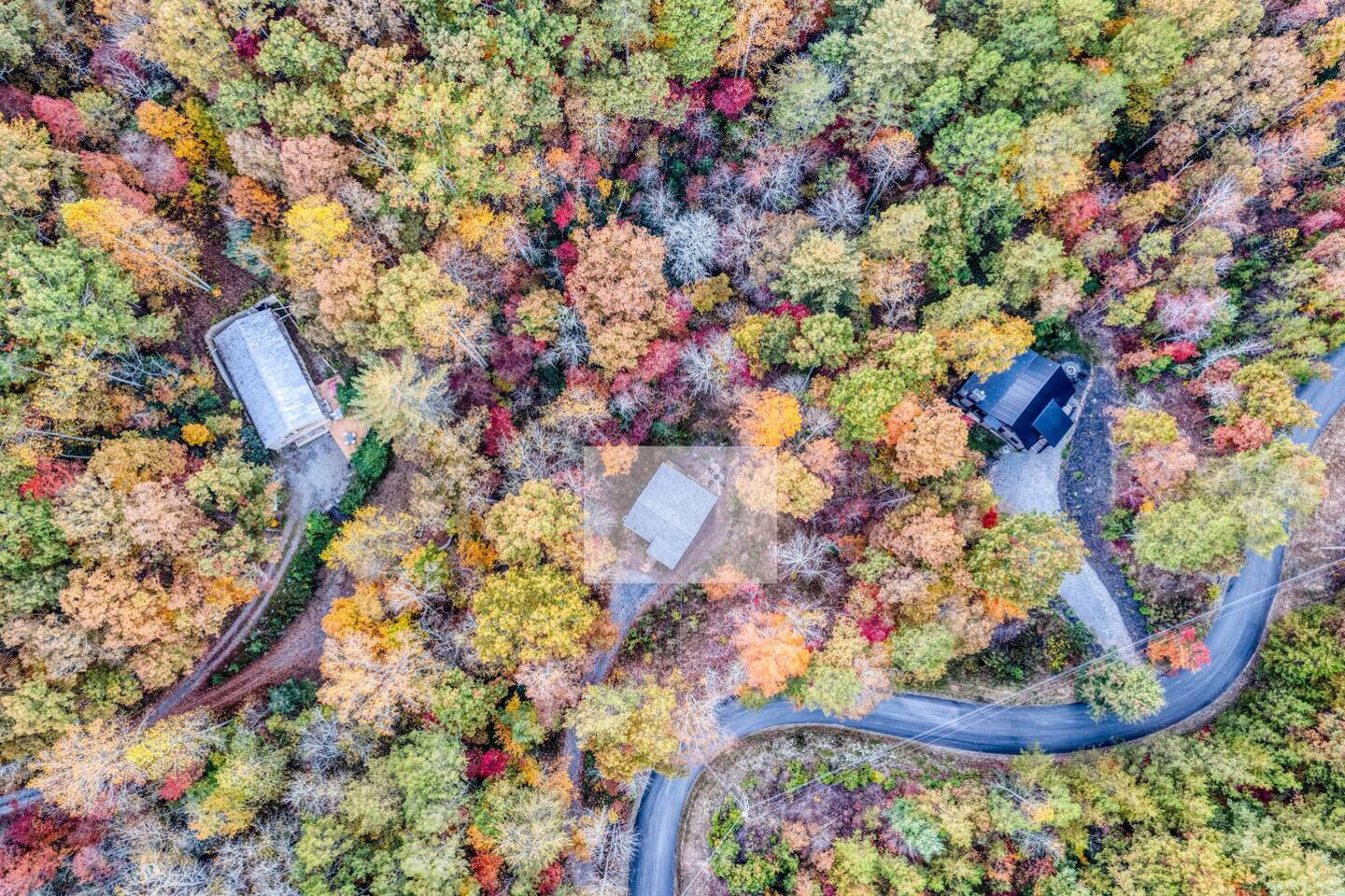 Cabin embraced by serene woods, where tranquility whispers through rustling leaves and dappled sunlight dances on the forest floor