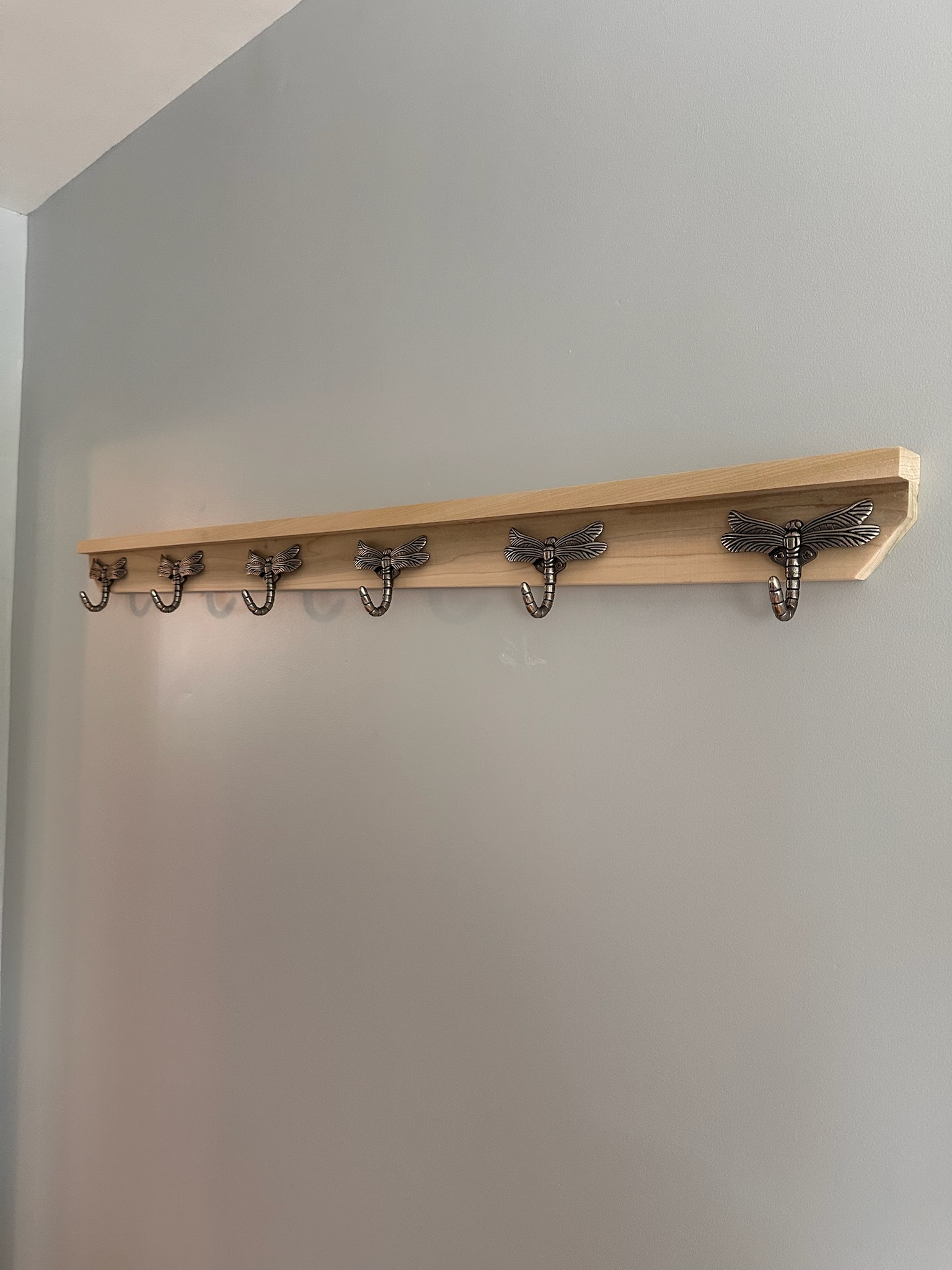 Dragon Fly Coat Hooks