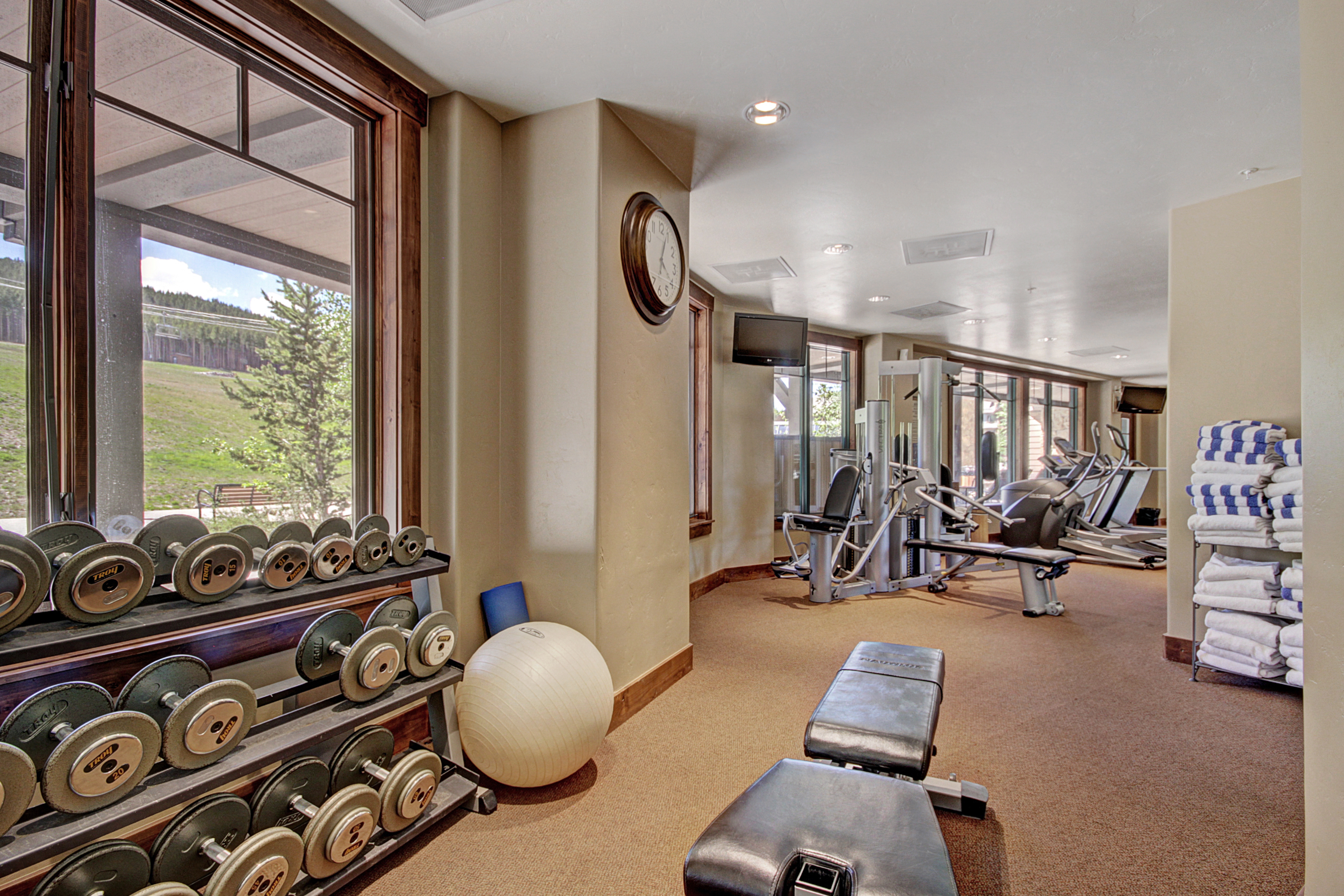 Building Gym
