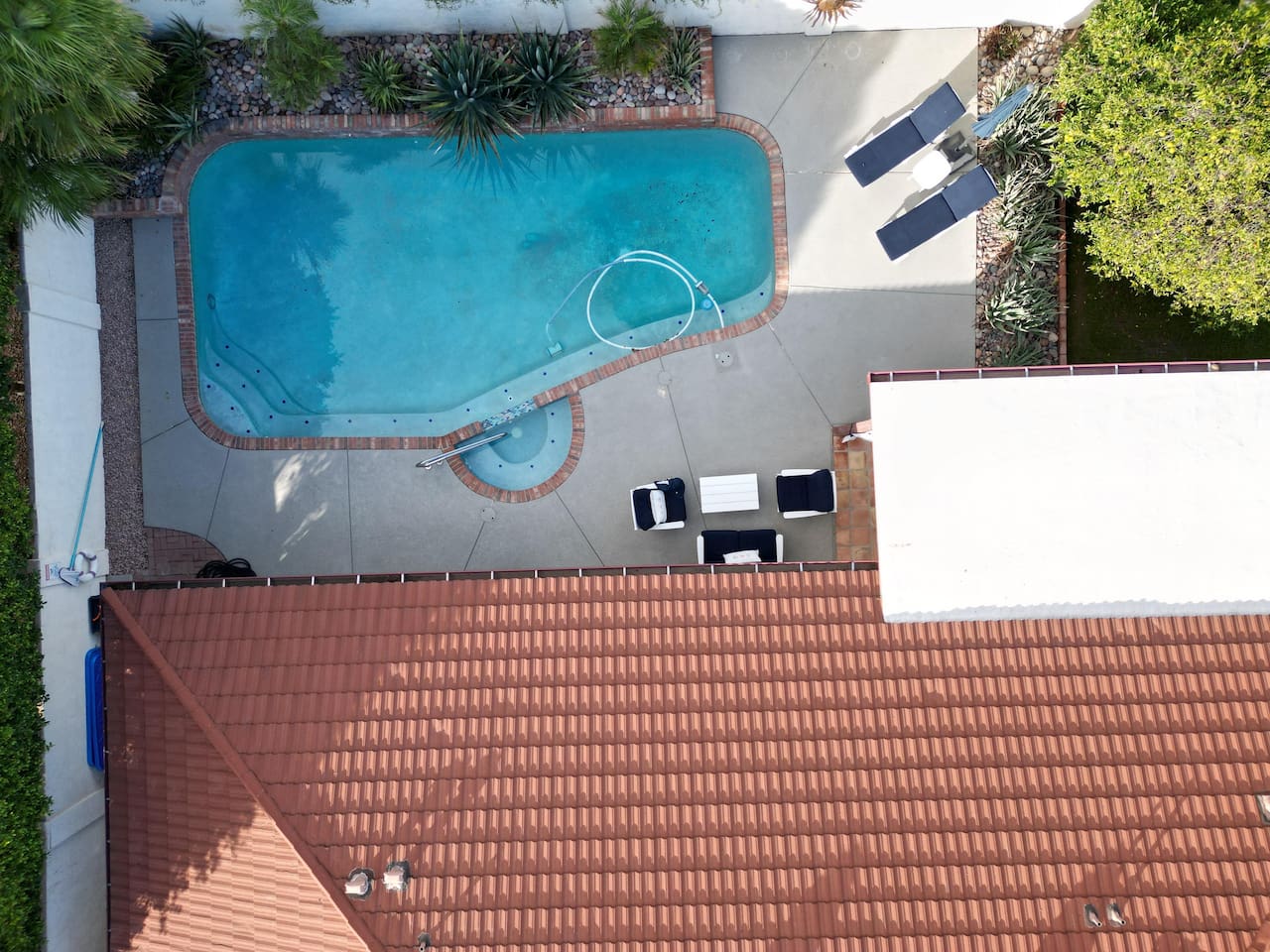 Drone shot of the backyard