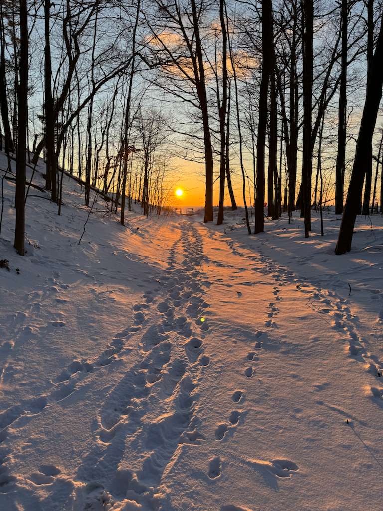 Snowy path, glowing sunset, and a peaceful walk to the beach—winter at its best.