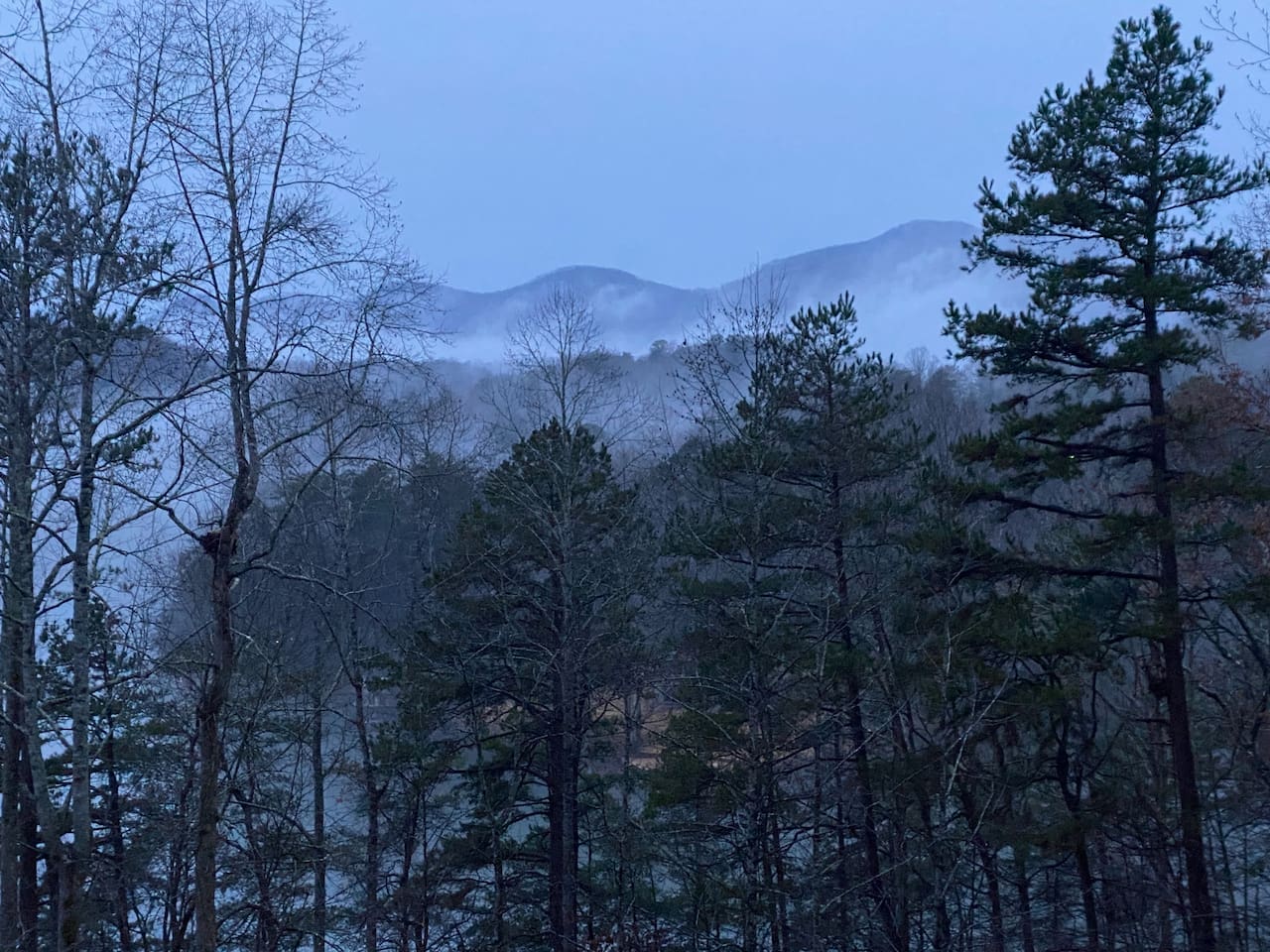 Foggy view from balcony
