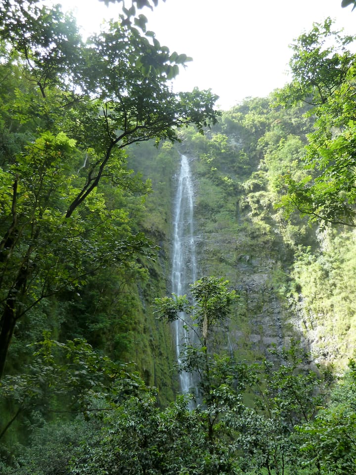 drive to hana!