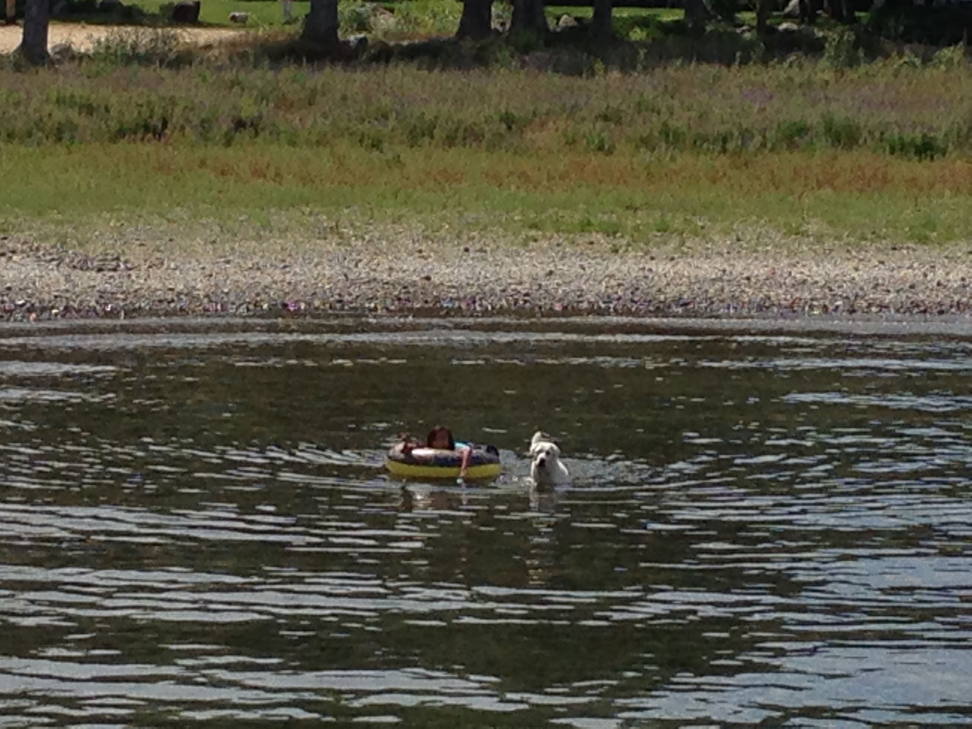 Tubing and swimming off private beach