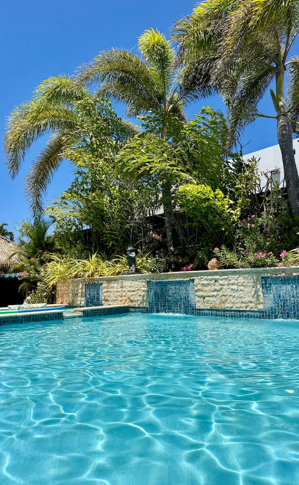 Lovely swaying palms that light up at night!