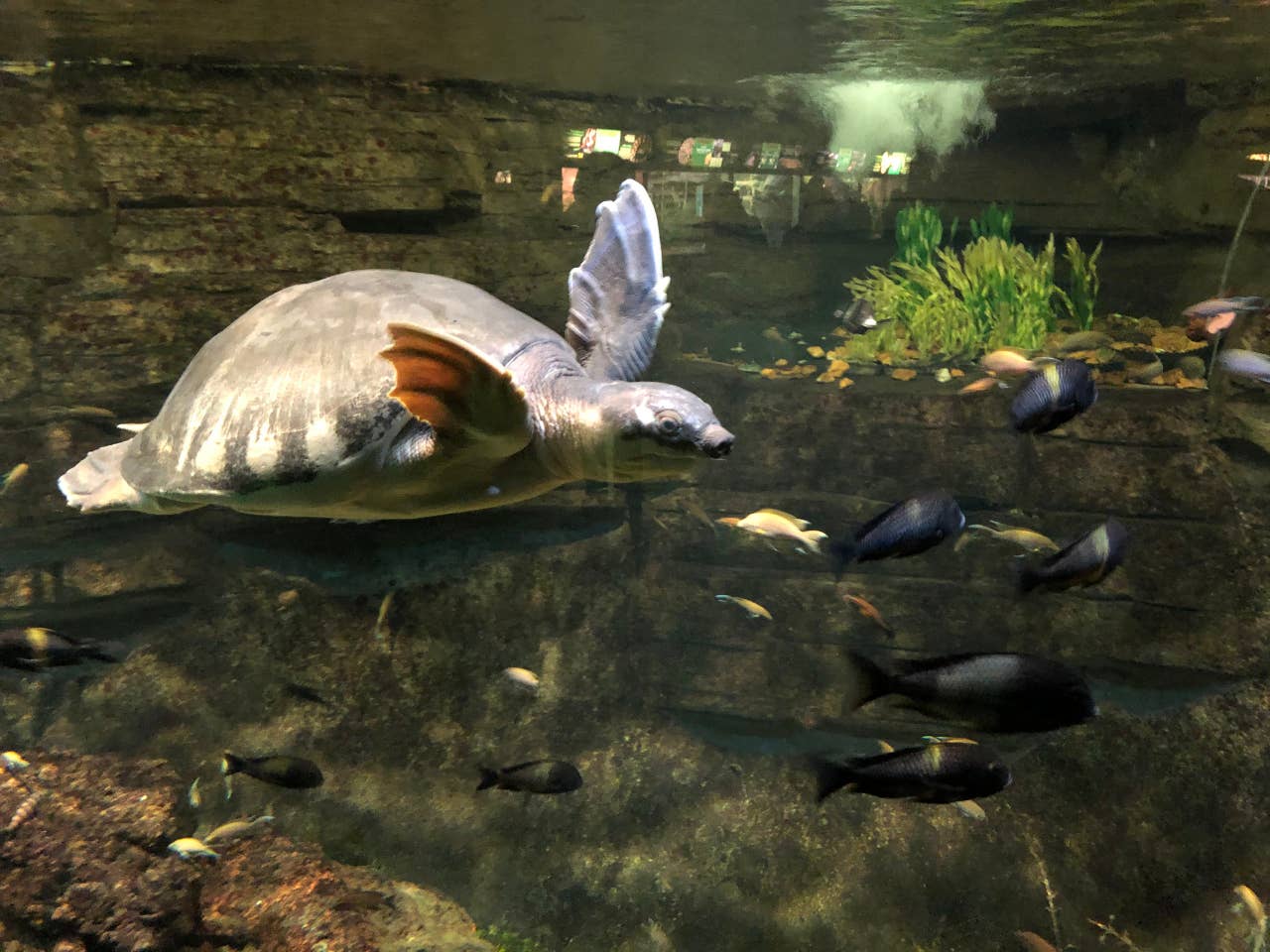 Take a walk on the wild side! This apartment is less than a mile from the Milwaukee County Zoo! 