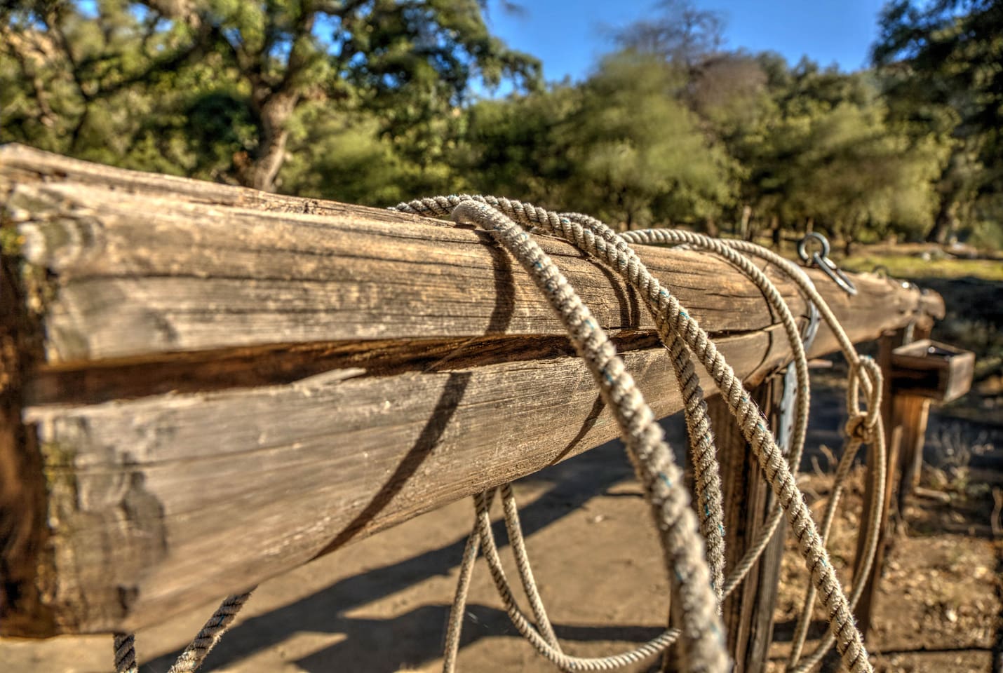 Corral