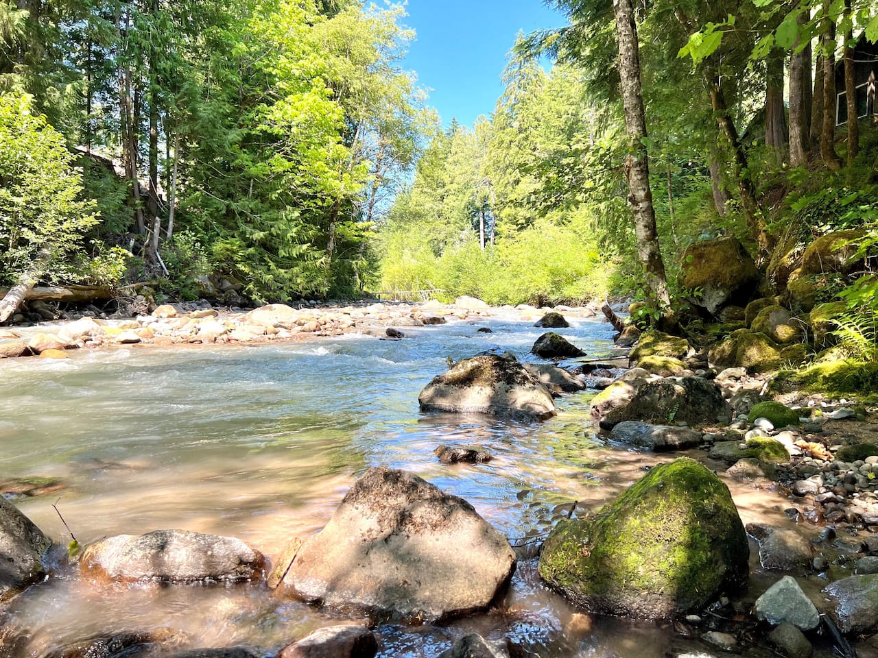 The Sandy River Behind and Bellow Chalet Cascade