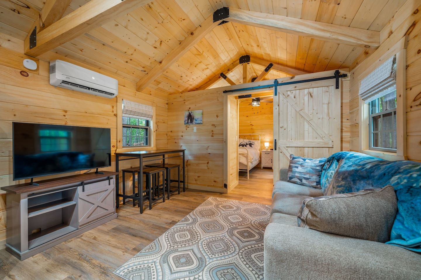 Living area with sleeper sofa and TV