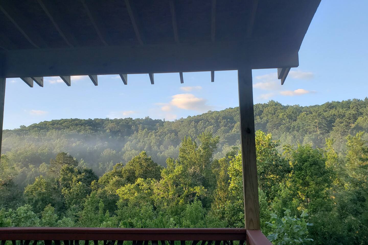 Foggy Morning