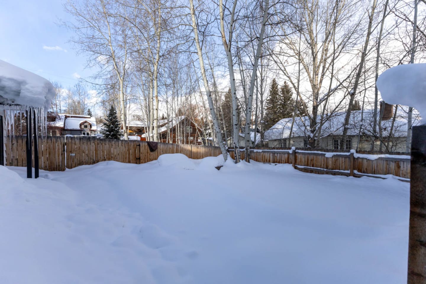 Fenced in Backyard