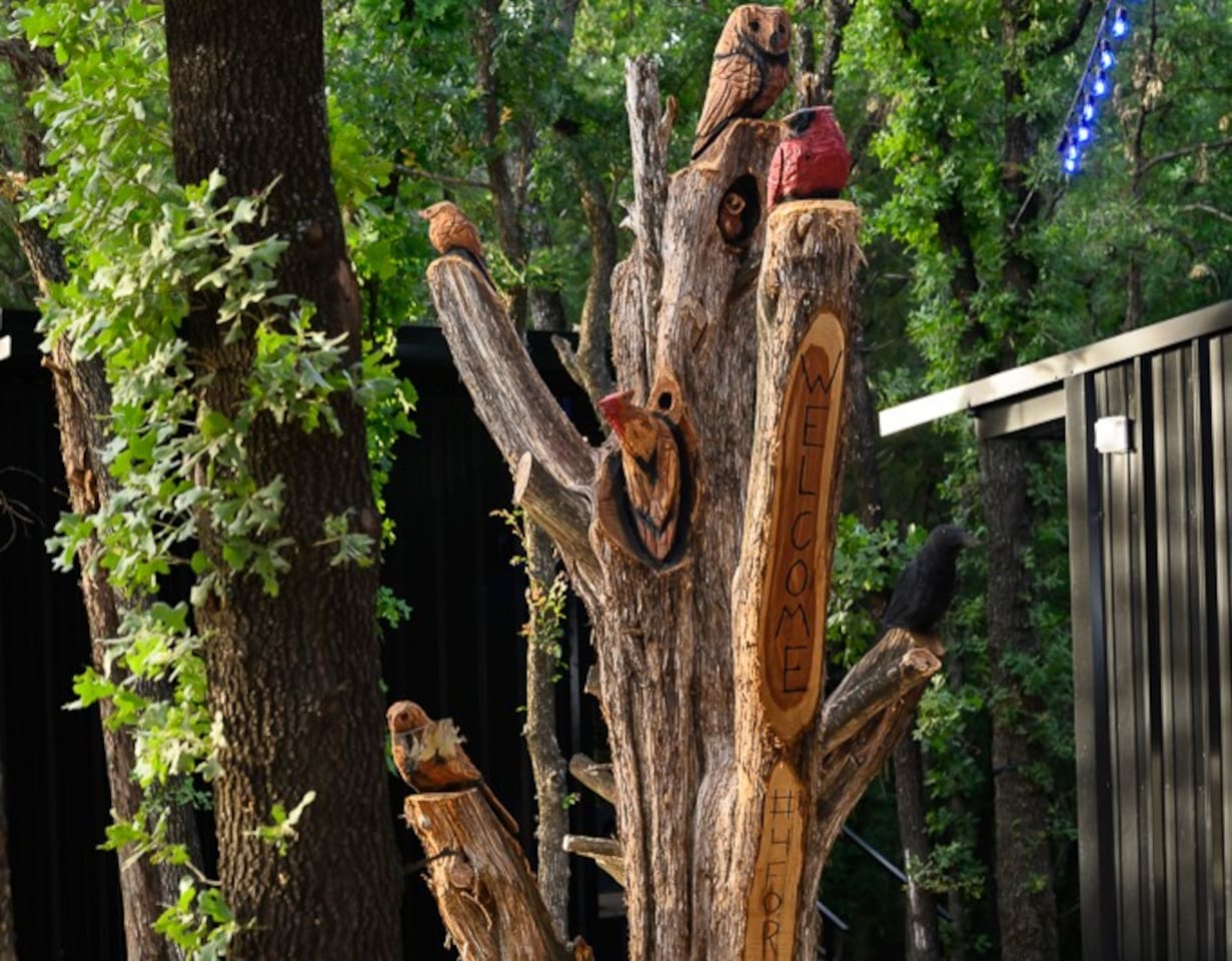 Take a picture with the tree carvings throughout the ranch and tag #4forty4ranch.com 
