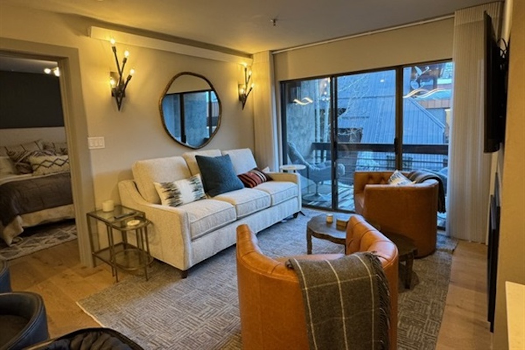 Living Area with sleeper sofa