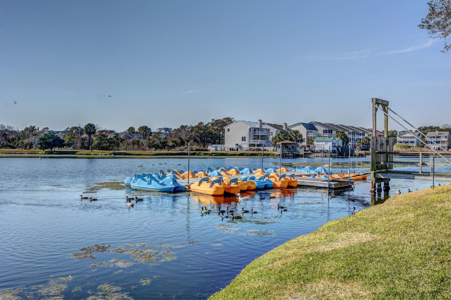 Paddleboat rentals nearby
