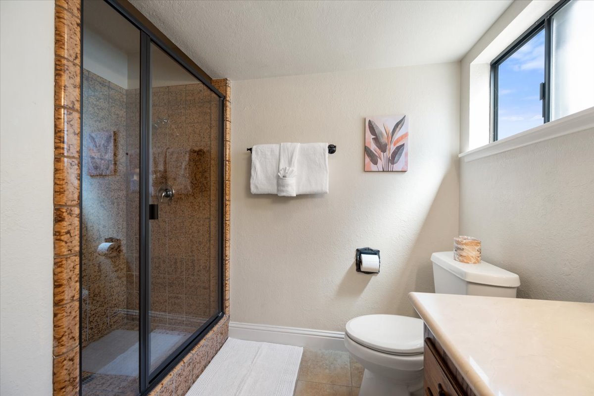 Downstairs hall bathroom