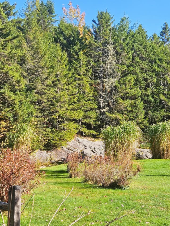 There are many amazing views to take in on the property! 