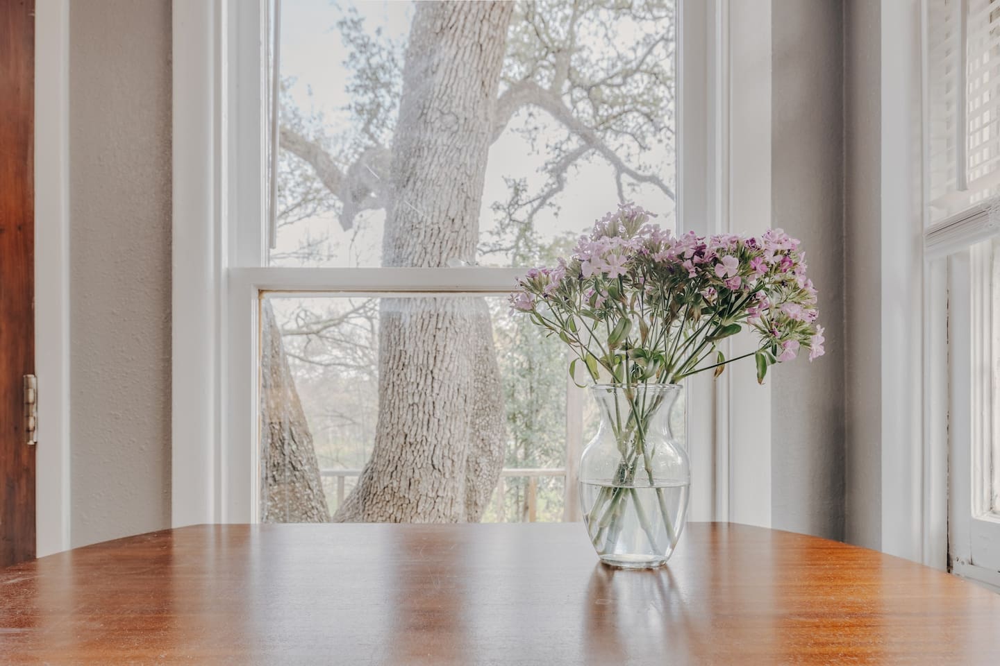 relax/work/dine at these peaceful tress houses listening to bird sounds.