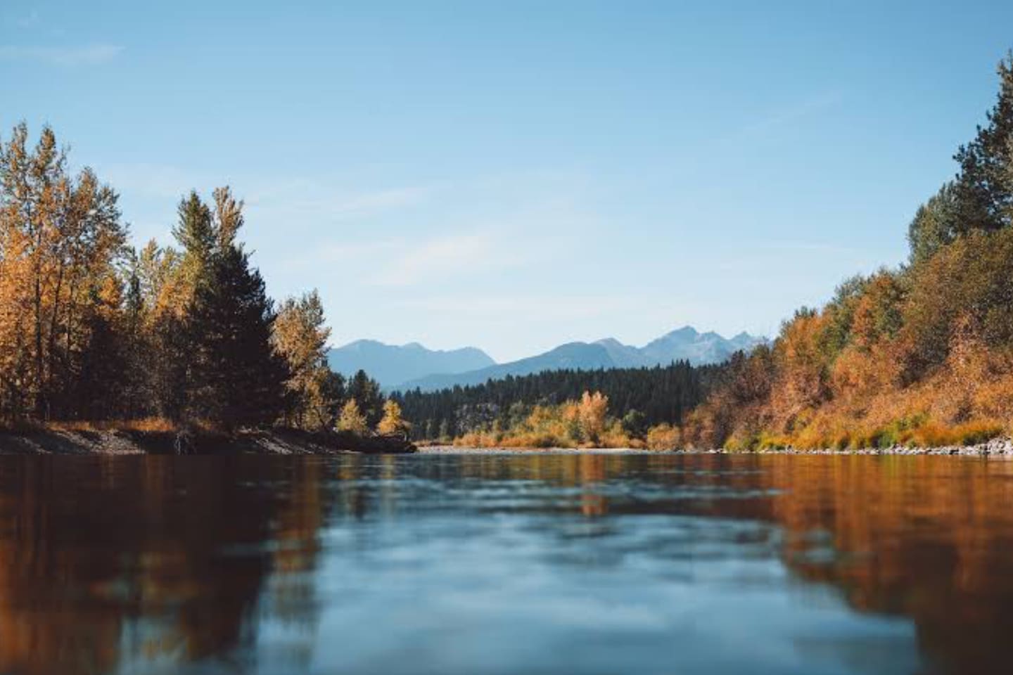 Bitterroot River in fall.  