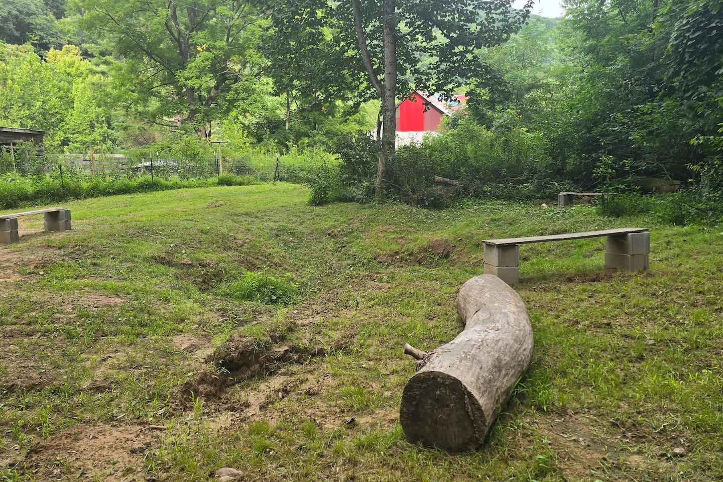 Backyard