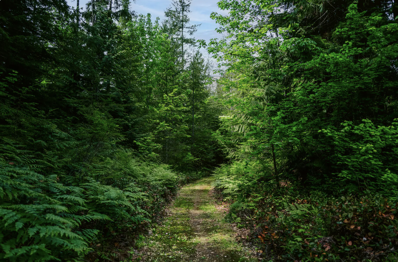 Enjoy the private  loop trails around the 14 acre property