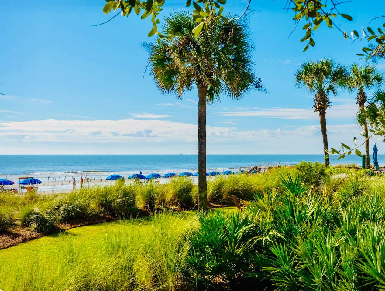 Path to the beach
