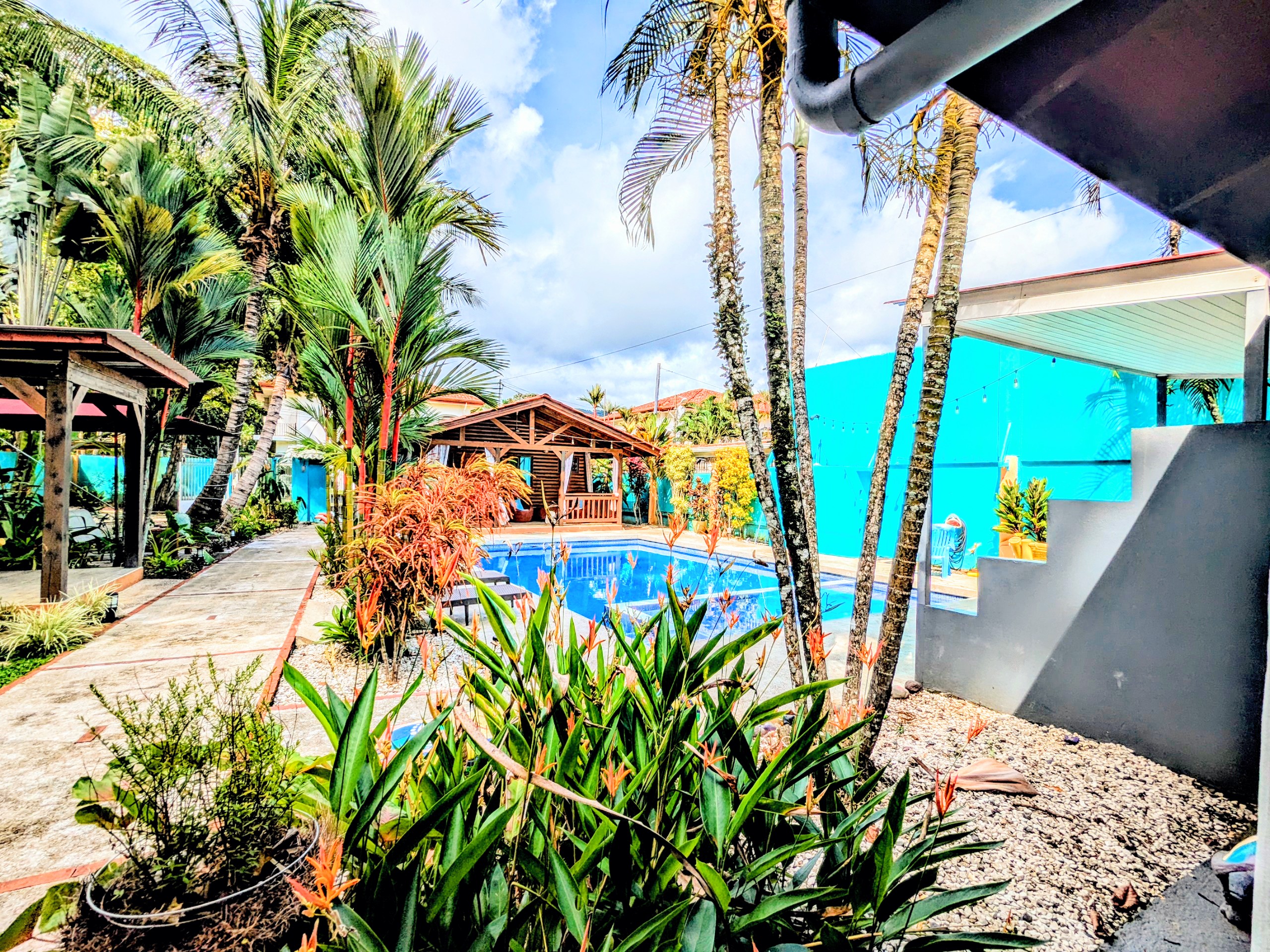 Pool and Garden