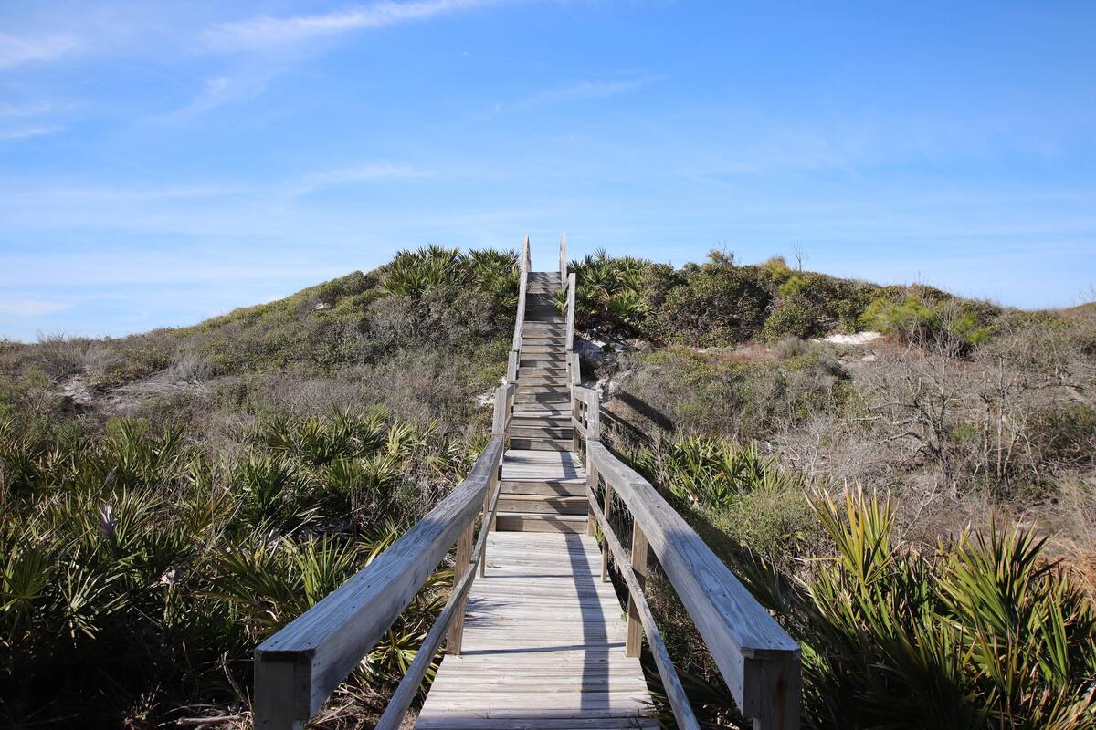 Deeded beach access with natural coastline, great for photography and bird watching (300 yards approx to the beach)