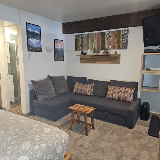 Livingroom area: Sofa sleeper - Couch.