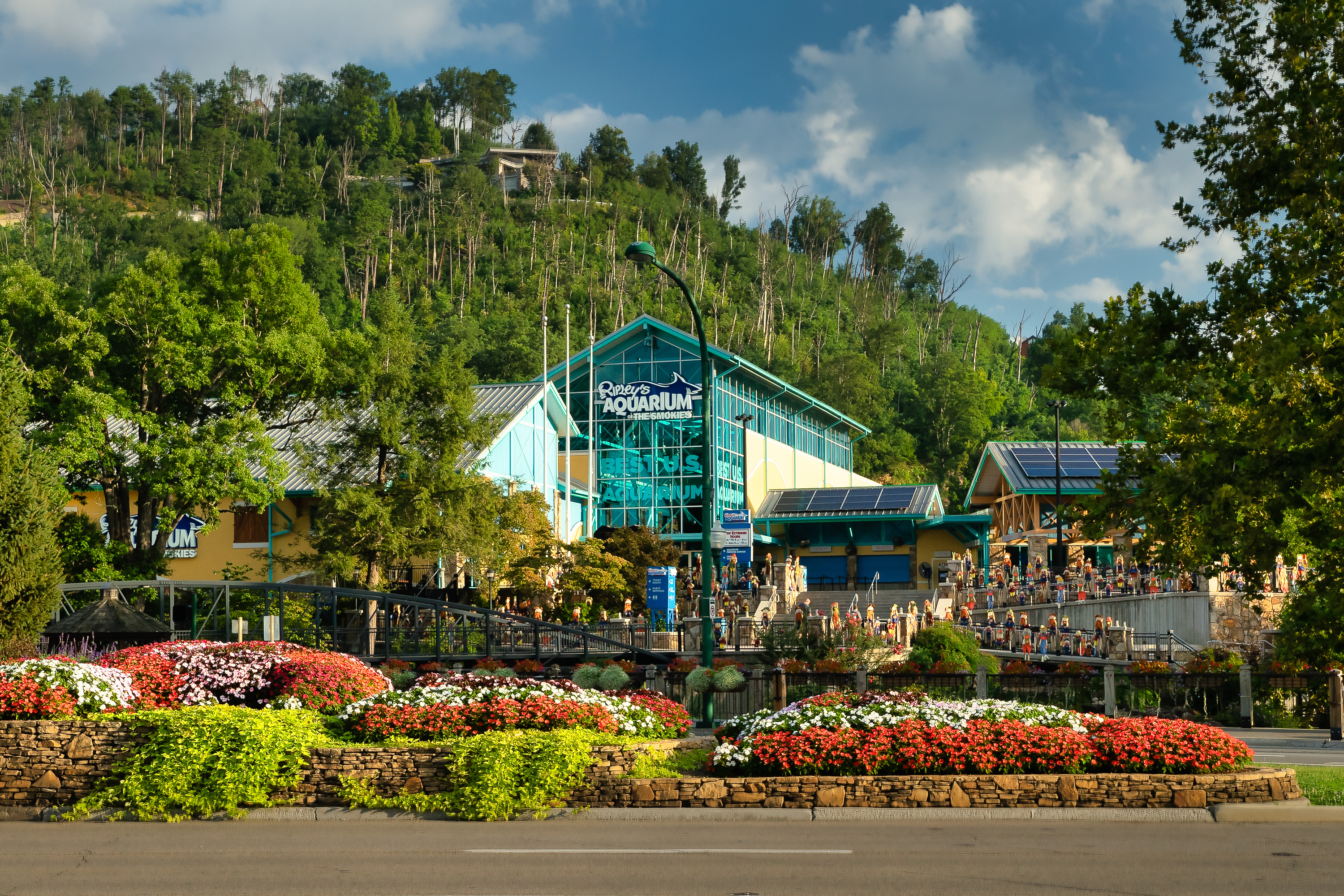 Ripleys Aquarium